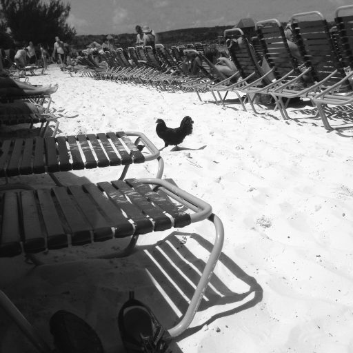 Madtown Travel Advisors